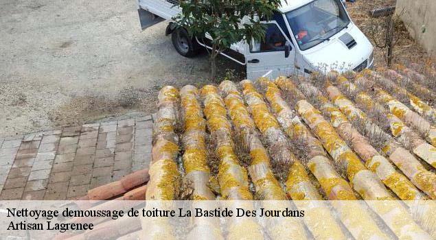 Nettoyage demoussage de toiture  la-bastide-des-jourdans-84240 Artisan Lagrenee