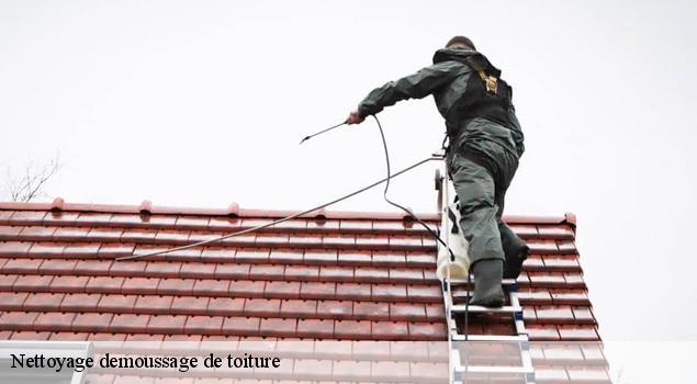 Nettoyage demoussage de toiture  le-beaucet-84210 JS Renov Habitat 