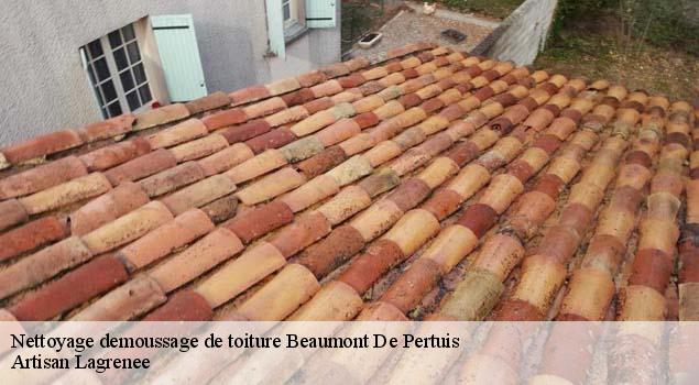Nettoyage demoussage de toiture  beaumont-de-pertuis-84120 Artisan Lagrenee