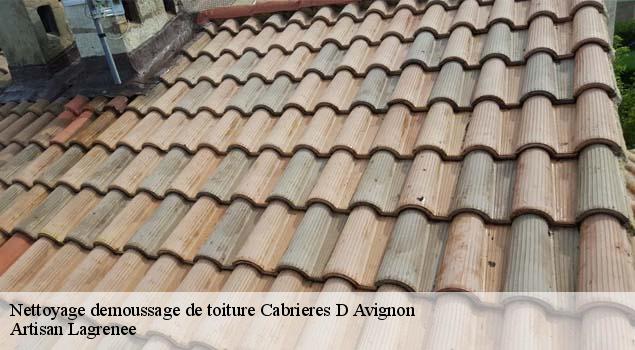 Nettoyage demoussage de toiture  cabrieres-d-avignon-84220 Artisan Lagrenee