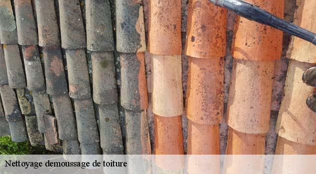 Nettoyage demoussage de toiture  caseneuve-84750 Artisan Lagrenee