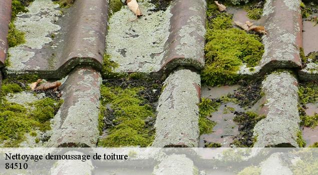 Nettoyage demoussage de toiture  caumont-sur-durance-84510 JS Renov Habitat 