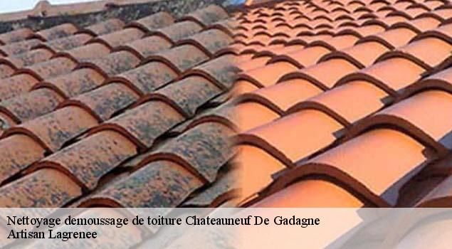 Nettoyage demoussage de toiture  chateauneuf-de-gadagne-84470 Artisan Lagrenee