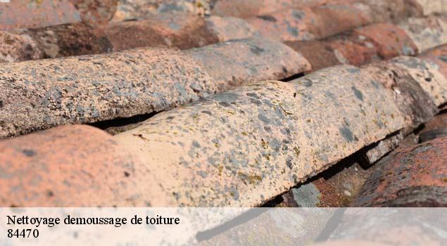 Nettoyage demoussage de toiture  chateauneuf-de-gadagne-84470 Artisan Lagrenee