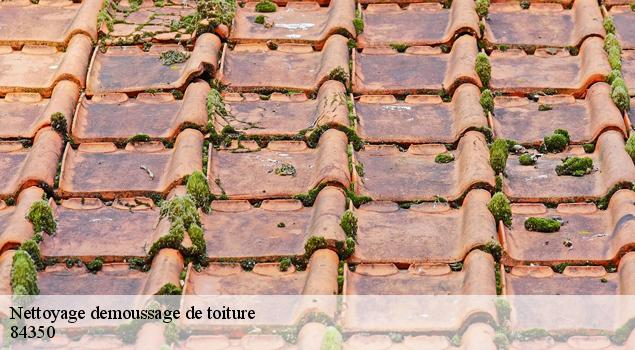 Nettoyage demoussage de toiture  courthezon-84350 Artisan Lagrenee