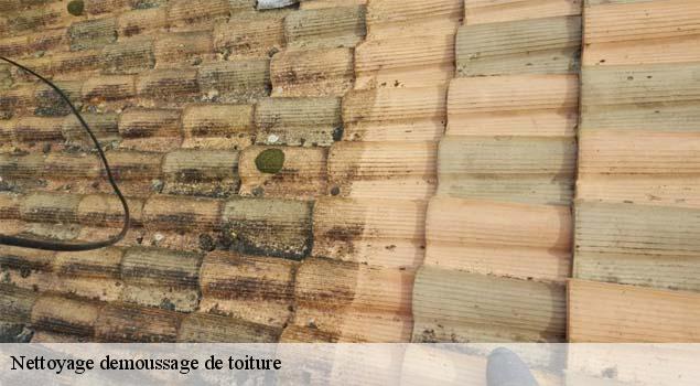 Nettoyage demoussage de toiture  entrechaux-84340 Artisan Lagrenee