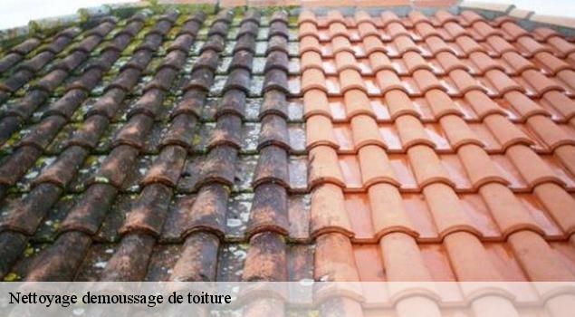 Nettoyage demoussage de toiture gargas-84400 JS Renov Habitat