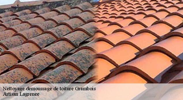 Nettoyage demoussage de toiture  grambois-84240 Artisan Lagrenee