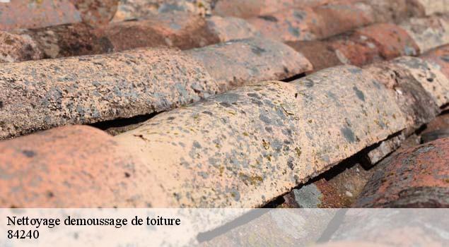 Nettoyage demoussage de toiture  grambois-84240 Artisan Lagrenee