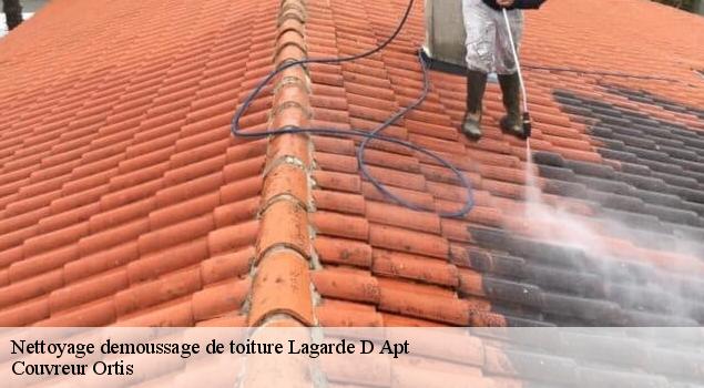 Nettoyage demoussage de toiture  lagarde-d-apt-84400 Artisan Lagrenee