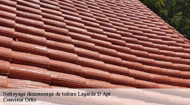 Nettoyage demoussage de toiture  lagarde-d-apt-84400 Artisan Lagrenee