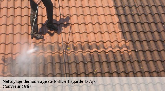 Nettoyage demoussage de toiture  lagarde-d-apt-84400 Artisan Lagrenee