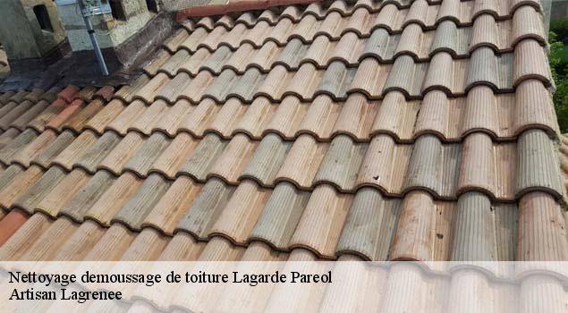 Nettoyage demoussage de toiture  lagarde-pareol-84290 Artisan Lagrenee
