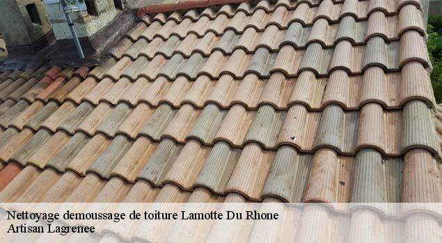Nettoyage demoussage de toiture  lamotte-du-rhone-84840 Artisan Lagrenee