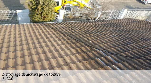 Nettoyage demoussage de toiture  murs-84220 Artisan Lagrenee