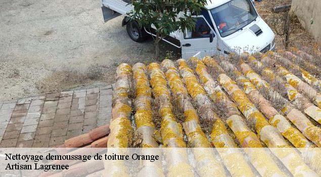 Nettoyage demoussage de toiture  orange-84100 Artisan Lagrenee