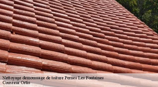 Nettoyage demoussage de toiture  pernes-les-fontaines-84210 Artisan Lagrenee