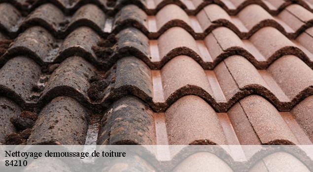 Nettoyage demoussage de toiture  pernes-les-fontaines-84210 Artisan Lagrenee