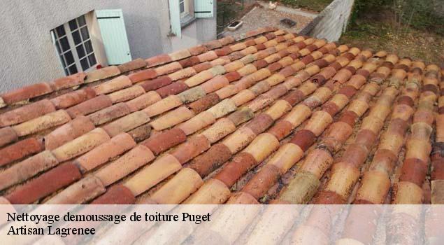 Nettoyage demoussage de toiture  puget-84360 Couverture Lagrenee