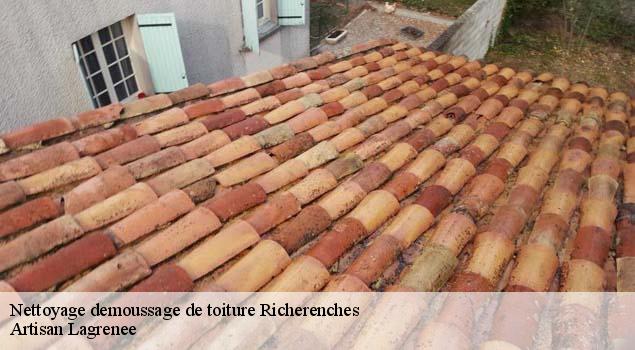 Nettoyage demoussage de toiture  richerenches-84600 Artisan Lagrenee