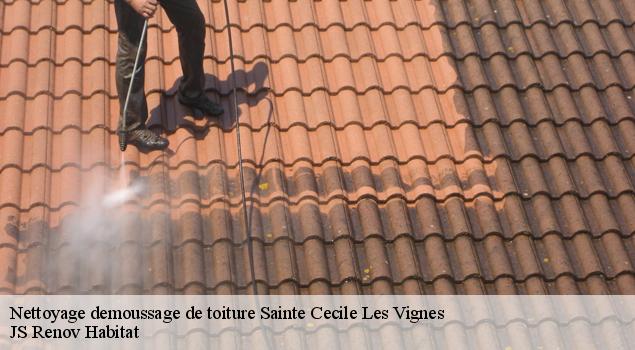 Nettoyage demoussage de toiture  sainte-cecile-les-vignes-84290 JS Renov Habitat 