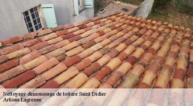 Nettoyage demoussage de toiture  saint-didier-84210 Artisan Lagrenee