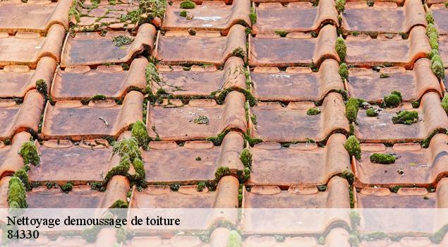Nettoyage demoussage de toiture  saint-hippolyte-le-graveyron-84330 JS Renov Habitat 