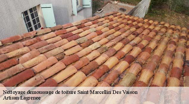 Nettoyage demoussage de toiture  saint-marcellin-des-vaison-84110 Couverture Lagrenee
