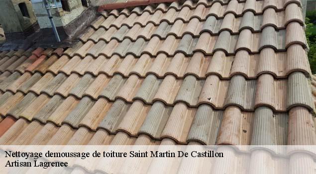 Nettoyage demoussage de toiture  saint-martin-de-castillon-84750 Artisan Lagrenee