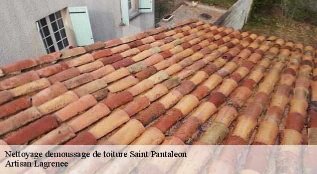 Nettoyage demoussage de toiture  saint-pantaleon-84220 Couverture Lagrenee