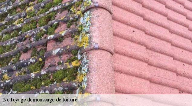 Nettoyage demoussage de toiture  saint-saturnin-les-avignon-84450 JS Renov Habitat 