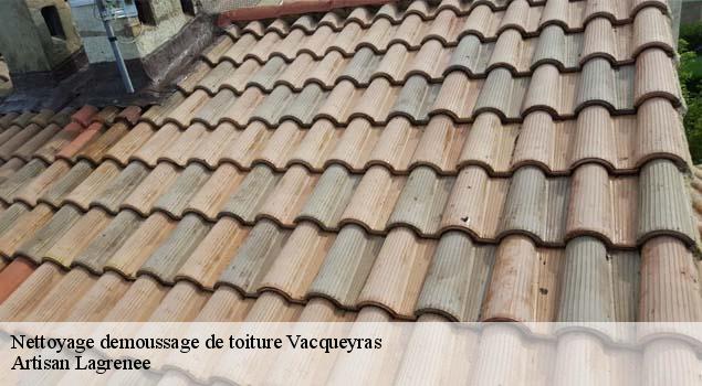 Nettoyage demoussage de toiture  vacqueyras-84190 Artisan Lagrenee