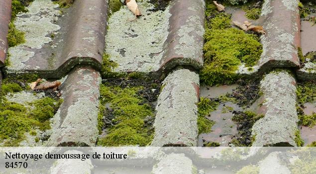 Nettoyage demoussage de toiture  villes-sur-auzon-84570 JS Renov Habitat 