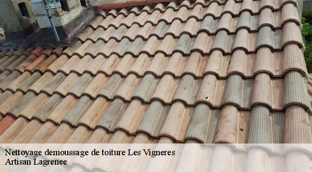 Nettoyage demoussage de toiture  les-vigneres-84300 Artisan Lagrenee