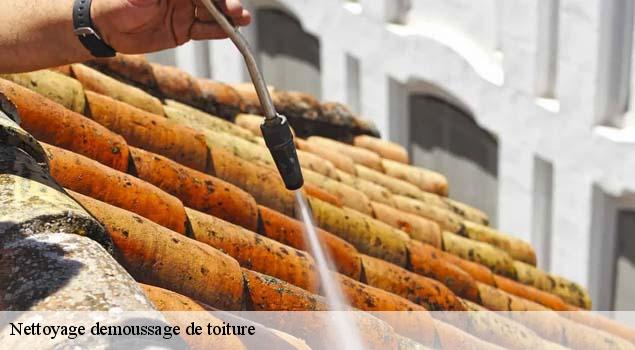 Nettoyage demoussage de toiture  les-vigneres-84300 Artisan Lagrenee
