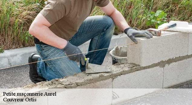 Petite maçonnerie  aurel-84390 Couverture Lagrenee