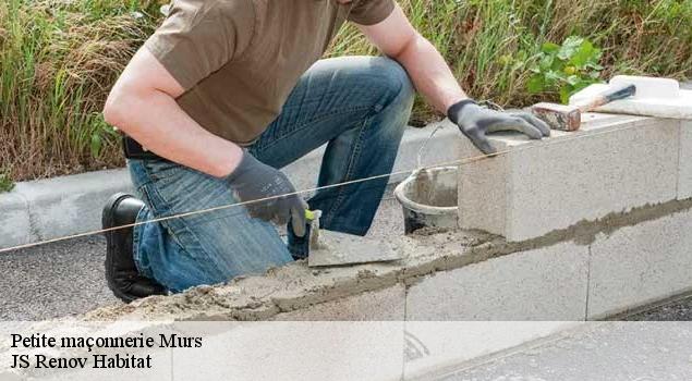 Petite maçonnerie  murs-84220 JS Renov Habitat 