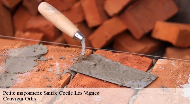 Petite maçonnerie  sainte-cecile-les-vignes-84290 Couvreur Ortis