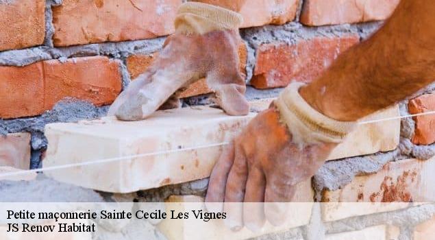 Petite maçonnerie  sainte-cecile-les-vignes-84290 JS Renov Habitat 