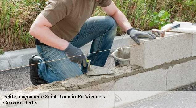Petite maçonnerie  saint-romain-en-viennois-84110 Couvreur Ortis
