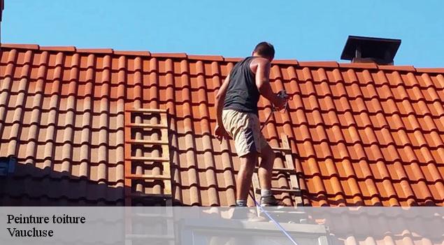 Peinture toiture 84 Vaucluse  JS Renov Habitat 