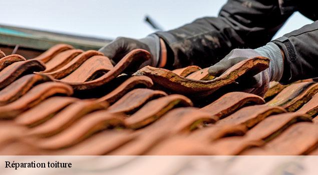 Réparation toiture 84 Vaucluse  JS Renov Habitat 