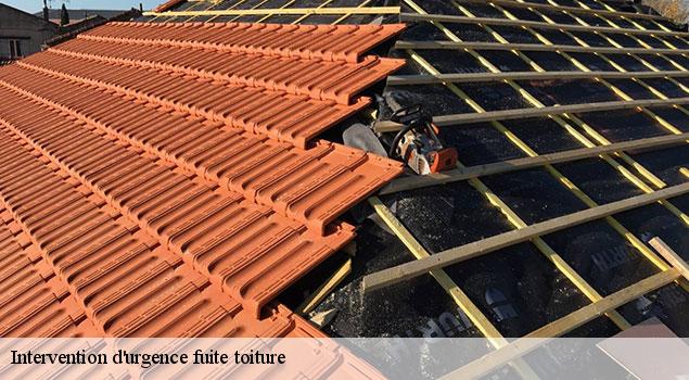 Intervention d'urgence fuite toiture   cairanne-84290 JS Renov Habitat 