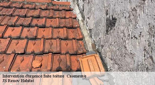 Intervention d'urgence fuite toiture   caseneuve-84750 JS Renov Habitat 
