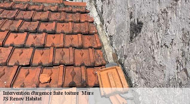 Intervention d'urgence fuite toiture   murs-84220 JS Renov Habitat 