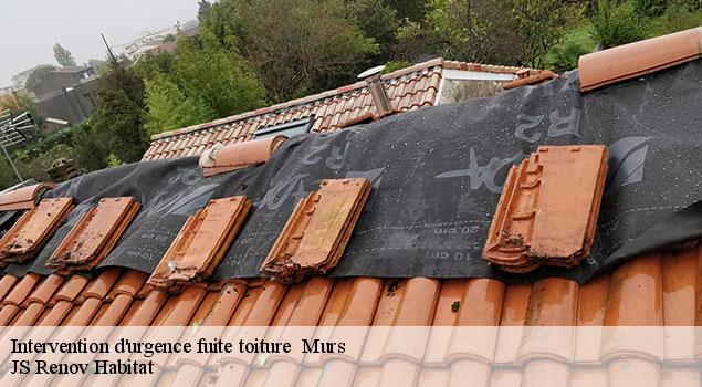 Intervention d'urgence fuite toiture   murs-84220 JS Renov Habitat 