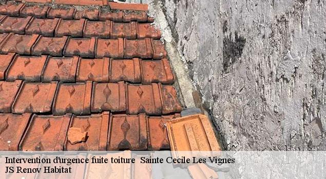 Intervention d'urgence fuite toiture   sainte-cecile-les-vignes-84290 JS Renov Habitat 