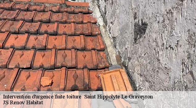 Intervention d'urgence fuite toiture   saint-hippolyte-le-graveyron-84330 JS Renov Habitat 