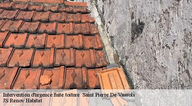 Intervention d'urgence fuite toiture   saint-pierre-de-vassols-84330 JS Renov Habitat 