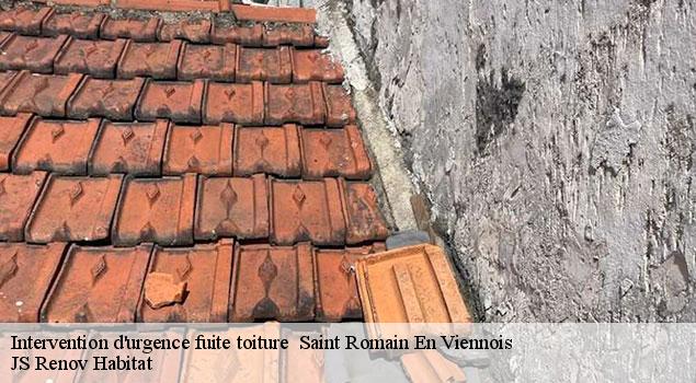 Intervention d'urgence fuite toiture   saint-romain-en-viennois-84110 JS Renov Habitat 
